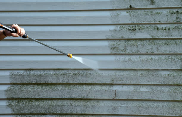 Local Pressure Washing Services in Madison Lake, MN