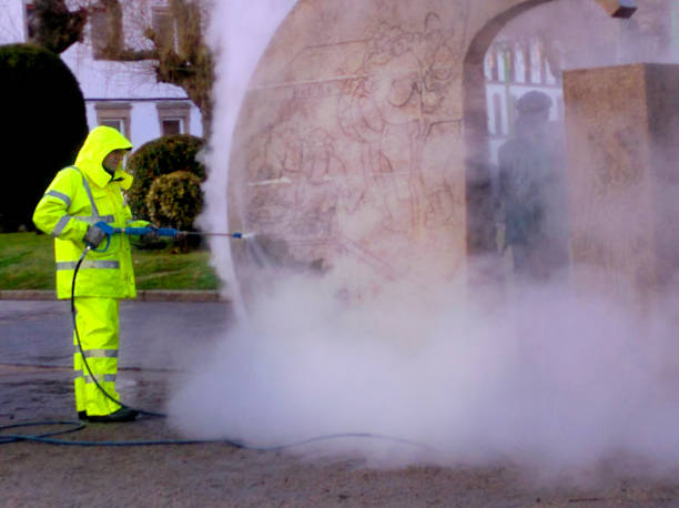 Best Residential Pressure Washing Services  in Madison Lake, MN