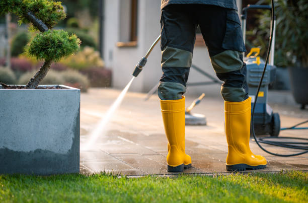 Best Power Washing Near Me  in Madison Lake, MN
